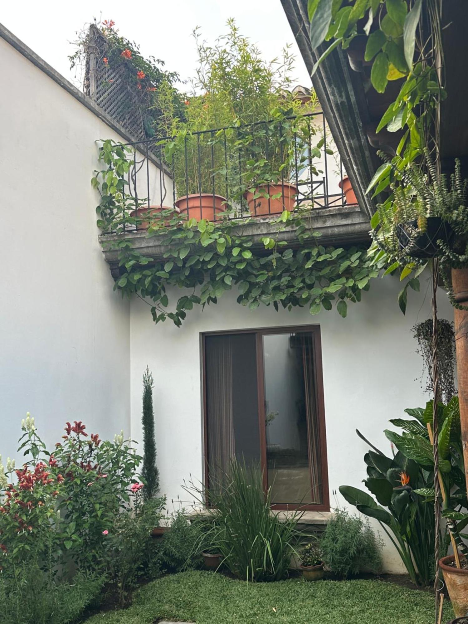 Bed and Breakfast Casa Elena à Antigua Extérieur photo